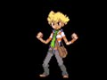 Pokemon D/P:Rival Battle Remix Pokemon D/P:Rival Battle Remix