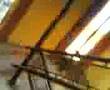 un mono a alto riesgo (danny.silva)