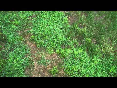 how to drain gutters into ground