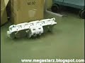 robot contorsionista increible
