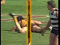 Hawthorn Highlights - 1989 Grand Final