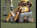 Hawthorn Highlights - 1989 Grand Final