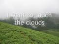 Rottikallu Home stay | Gateway to Western ghats/ India