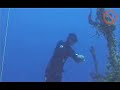 NoTanx Freedive... The way it should be!!! NoTanx Freedive... The way it should be!!!