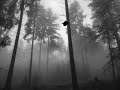 Sterbend - Dwelling Lifeless