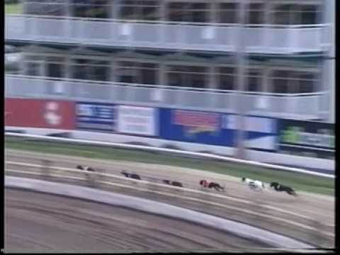 paddy power racing
