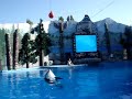 Marine Six Flags Discovery Kingdom SHOUKA BEST 2009-06-27