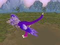 asina dragon