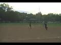 Cricket gets Hit