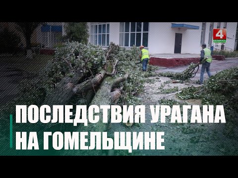 Паспрабавалі ацаніць шкоду ад урагану на Гомельшчыне видео