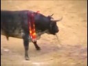 Pontevedra Antitaurina SPOT 08