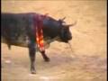 Pontevedra Antitaurina SPOT 08