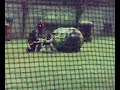 Siuu Paintball SPL 8.Juli Siuu Paintball SPL 8.Juli