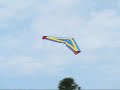 EREAPER CRASH