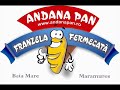 franzela fermecata - un fenomen in baia mare