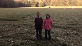 So why do cattle farmers spend all summer in the hay field??