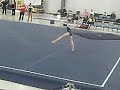 2008 Dragon Invite Elite Qualifier - Bridgey Caquatto FX 2008 Dragon Invite Elite Qualifier - Bridgey Caquatto FX