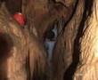 HERMES CAVE