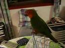 charging-the-clicker.html