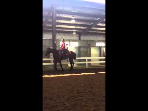 katwoman - 2 yo mare by Hot N Blazing out of The Katwoman owned by Doris and James Collier of Pinetree Quarter Horses. Full sister to multiple congress champion and res...