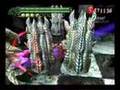 DMC3 - Mission 18 SS - DMD - Dante - G3mü$i [Part 1]