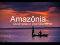 Desmatamento