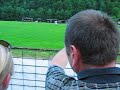 Peca-Maribor