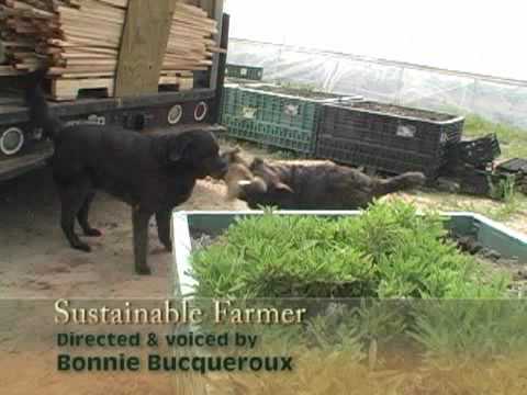 Sustainable Farmer - Titus Farms: The Next Generation