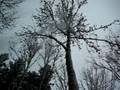 videos de Snow is fun...the movie :O)
