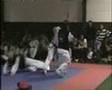 ITF TaeKwonDo HAMZA OPEN BUŽIM 2007