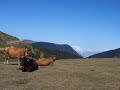 �AYKARA HOLAYSA �AHMUT  TUFA YAYLASI TRABZON  RIFAT BALTACI