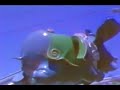 disneyland-anaheim-1994-alice-in-wonderland.html