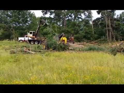 how to harvest trees