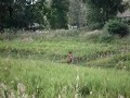 Shot fired while running