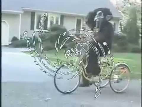 Sasquatch Haunts the University of ...