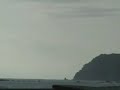 reggae by the pacific ocean