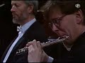 Sibelius - Symphony No.4 - 3rd. movement