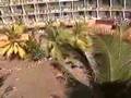 natural disaster