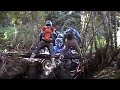 Detour Coffs Harbour Detour Coffs Harbour