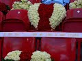 AFCA Tribute to those who fell AFCA Tribute to those who fell