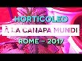 HORTICOLED 1 bsGcTuZ1sJM