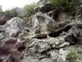 Vozeći se prema Zagrebu, bilo s juga iz smjera Karlovca, bilo od sjevera iz smjera Krapine ili ako iz novih zagrebačkih zapadnih naselja promatramo osunčane obronke Plešivice, uvijek će nam se pogled makar za trenutak zaustaviti na vrletnom Okiću. Rijetko koji plemićki grad ima tako dominantan položaj, kojim kontrolira široko područje i malo je danas tako dobro sačuvanih srednjovjekovnih plemićkih gradova u Hrvatskoj, kao što je Okić. A savršeni odabir položaja, jednostavnost i istodobno veliku djelotvornost sustava obrane, doživjet će te tek kada se odlučite uspeti se do njegovih zidina. Okić se izdvaja iz obitelji plemićkih gradova, ne samo po prelijepom svom položaju i visokom stupnju sačuvanosti svih njegovih dijelova, nego prije svega po izuzetnom značenju koje taj grad ima s obzirom da njegove strukture velikim dijelom pripadaju romaničkom razdoblju, što Okić čini jedinstvenim među srednjovjekovnim plemićkim gradovima kontinentalnog dijela Hrvatske.Promatrajući ga iz jurećeg automobila kako se snažno uzdiže prema nebu, znajući za veliku starost njegovih zidova koji su već nekoliko stotina godina prepušteni sami sebi u vječnoj dramatičnoj borbi s prirodom, nismo svjesni opasnosti njegova konačnog urušenja. Iako ne možemo biti zadovoljni stanjem njegovih građevinskih struktura i odnosom koji smo do sada imali prema njegovoj zaštiti, a čini mi se da se takav loš odnos i dalje nastavlja, moramo biti zadovoljni činjenicom da su ipak istraživači pokazali u prošlosti razmjerno veliko zanimanje za njegovu povijest, a i za tumačenje ostataka njegovih struktura.Ime Okić seže u duboku prošlost hrvatskog naroda. Godine 1193. prvi put je zapisano postojanje grada - utvrde Okića na obroncima Plešivice, ali je ime Okić jamačno mnogo starije, možda čak kao i naša nazočnost u ovim krajevima. Utvrda je, vjerojatno, mnogo starija i pripadala je još ilirskim plemenima, kasnije rimskim legijama kao izvanredna točka za promatranje okolice, ali i za dojavnu službu onog doba, npr. za davanje svjetlosnih i dimnih signala. Postoji mogućnost da je i ime Okić ili neki njegov oblik preuzeto iz tih davnih dana, kada su Rimljani vladali ovim krajevima.Okić, grad Frankopana, Erdodyja, Turci su tri puta opkoljavali, napadale su na njega i druge vojske, ali ga nikada nisu osvojile. Gradom su kroz osam stoljeća njegove povijesti gospodarili Hrvati. Vrlo važnu ulogu Okić ima u hrvatskom planinarstvu, književnosti, znanosti, novinstvu i glazbi, iako o tome šire pučanstvo u Hrvatskoj vrlo malo zna. Okić je privlačan za svaki oblik planinarenja, od alpinizma i oštrih tura do jednostavnog hodanja po brdima, jer ima nešto što je u hrvatskim planinama rijetkost - penjačku stazu osiguranu na alpski način klinovima i čeličnim užetima. Na ovim stranicama navodim značajnije dijelove iz okićke prošlosti, ali i da se dobije uvid u značaj nikad pokorenog, sada ruševnog, grada Okića.