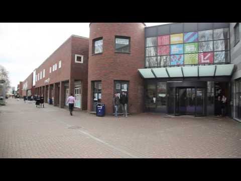 how to renew student finance