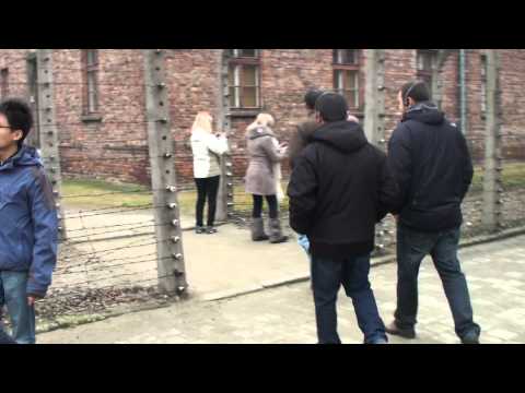 how to get to auschwitz from krakow by train