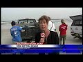 2 Dead Dolphins Wash Ashore