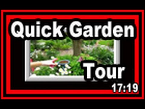 garden video - Here's a quick garden tour of what's still blooming in our Wisconsin Garden. We just could not resist giving these beautiful floral blooms their due and want...