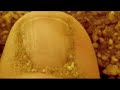Damien Rice - Cannonball Damien Rice - Cannonball