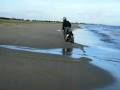 videos de ntt scootercross barletta cromos2