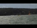 Salcombe Cats!