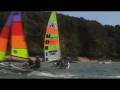 videos de Salcombe Cats!